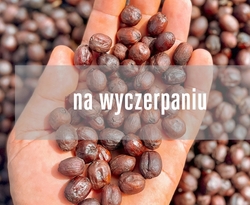 Brazylia Thiago Corsi - NOWOŚĆ