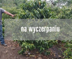 Nikaragua Laurina La Escondida