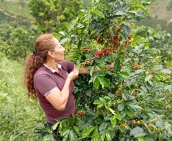 MARíA BELéN DIAZ - NOWOŚĆ