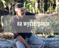 Honduras los Quetzales